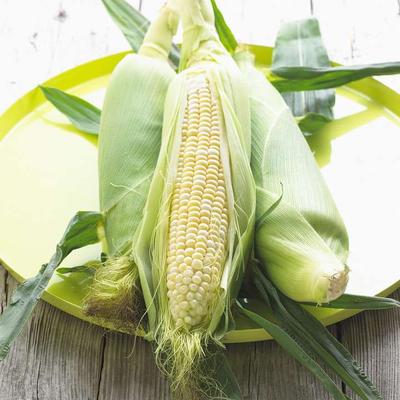 ​玉米须煮水减肥 简单的快速瘦身法