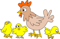 h7n9禽流感的治疗原则 禽流感日常预防工作