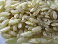 油小米和糯小米的区别  常食小米有益健康