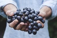慢性肾炎能吃葡萄吗 慢性肾炎饮食上要遵循三个限制