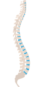 青少年脊柱侧弯症状有哪些  分析脊柱侧弯的3个症状