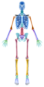椎体前缘见骨质增生怎么办呢 骨质增生的保健和护理