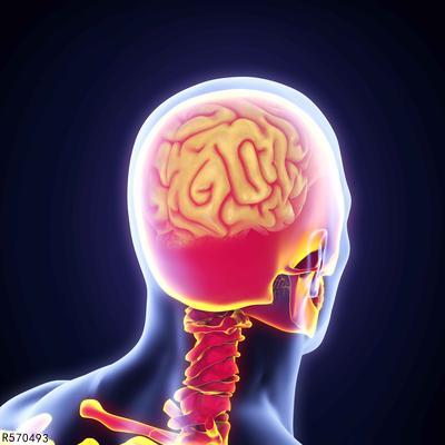癫痫发作对大脑有什么影响
