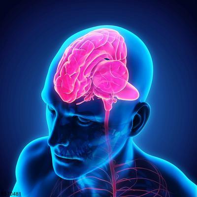 脑外伤后的癫痫如何预防