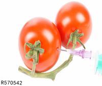 西瓜番茄红素竟超过番茄 看看番茄红素的益处
