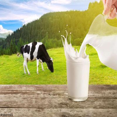 牛初乳能提高孩子免疫力是真的吗?孩子有白癜风能吃吗?