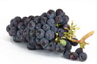 食管炎病人能吃葡萄吗 怎么治疗食管炎