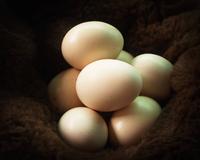 假鸡蛋的“蛋黄”像橡皮一样有弹性，扔在地上可以弹起来。
