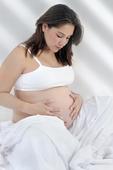 14周胎儿彩超图 怀孕14周胎儿发育情况是怎么样的