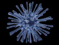 孕妇单纯疱疹病毒该如何是好 什么叫单纯疱疹病毒呢