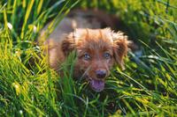 狂犬疫苗能喝酒吗 狂犬疫苗什么时候打