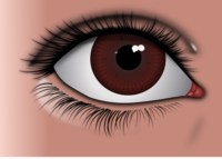 眼底黄斑病变自测应该怎么做 得眼底黄斑病的原因