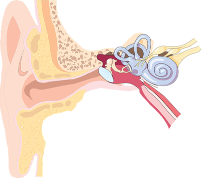 耳聋是否具有遗传性呢？