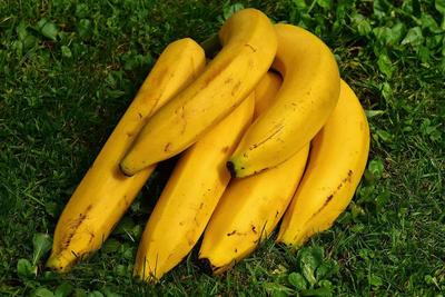 ​老年人预防中风 每天坚持吃香蕉