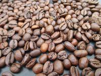 小孩玩的咖啡豆的种类  咖啡豆包括哪些类型