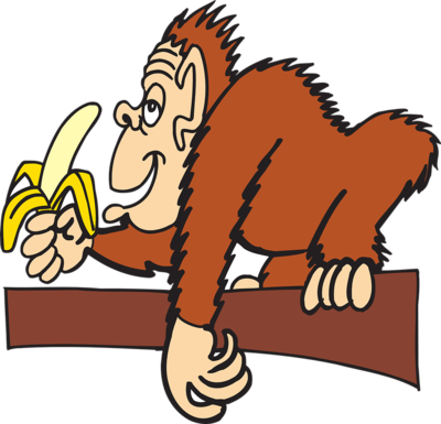 类风湿病能吃香蕉吗