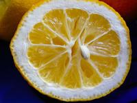 柠檬酸性还是碱性食物 介绍柠檬的营养价值