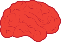 脑血管病是什么原因引起的 脑血管病患者进行康复治疗的原则是什么