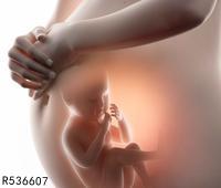 母亲移植子宫给女儿 中国首个移植子宫内孕育宝宝出生 六个小妙招让你快速怀孕