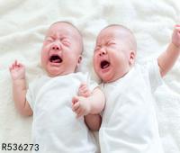 怀双胞胎基因取决于谁 如何提高双胞胎几率