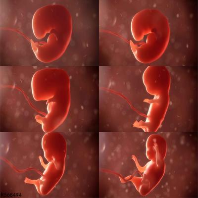 试管婴儿囊胚培养失败是为什么