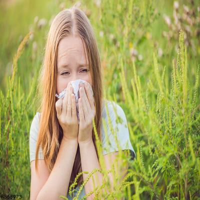 鼻炎鼻子干痒怎么办呢？