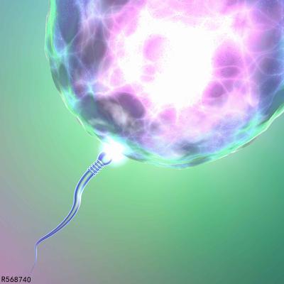 精子畸形会导致孩子畸形吗?会不会影响胎儿质量?