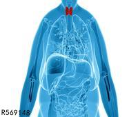 肺部肿瘤筛查值偏高 什么是肺部肿瘤