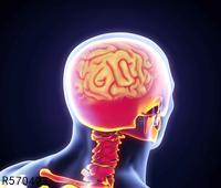 详解脑损伤后经常呕吐 导致脑损伤的因素