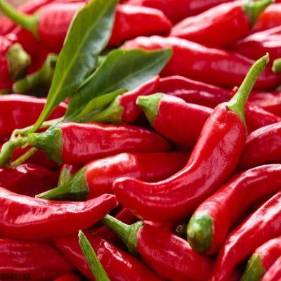 人人吃辣椒都有益健康吗？人人都可以吃辣吗？