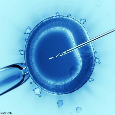 孕酮低会影响胚胎发育