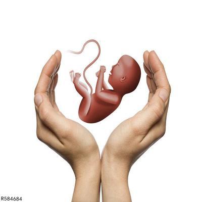影响胚胎移植的因素