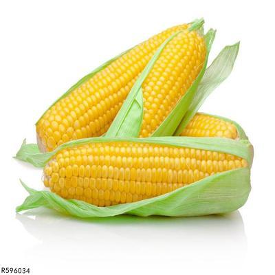 玉米对于白癜风有哪些好处？