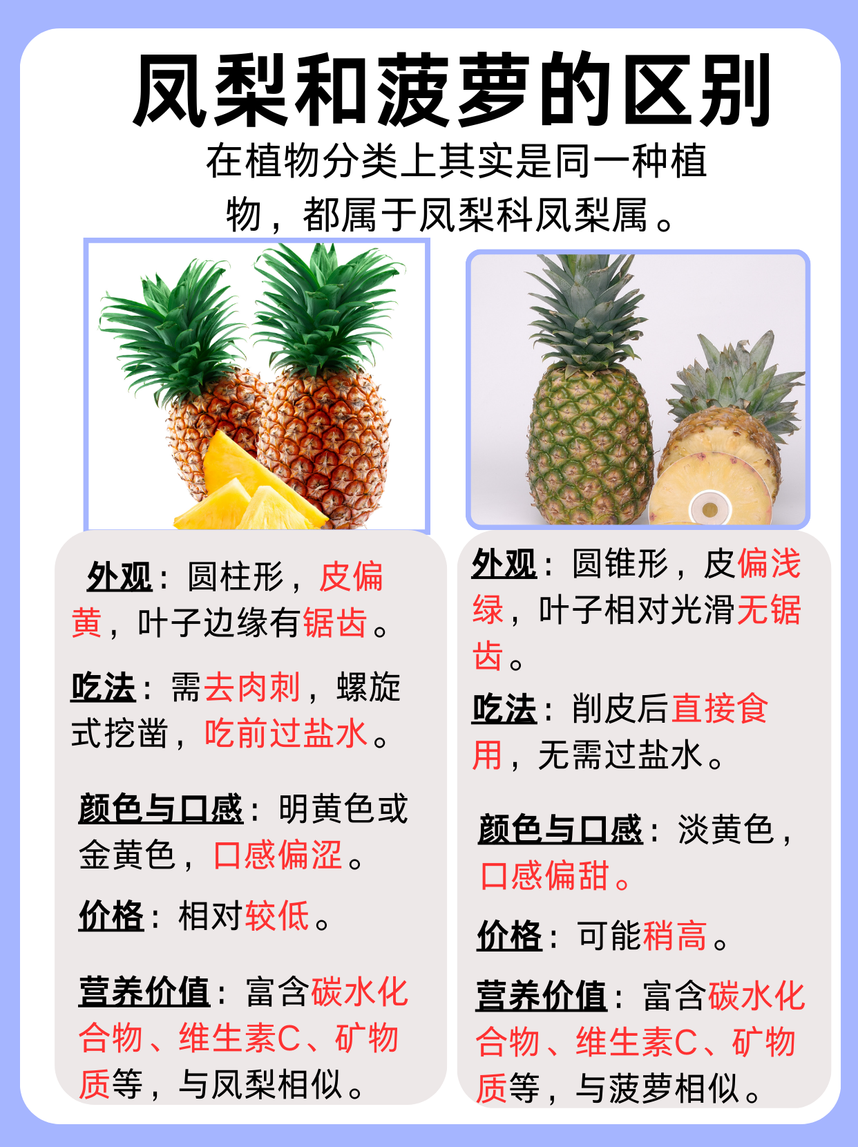 凤梨和菠萝的区别