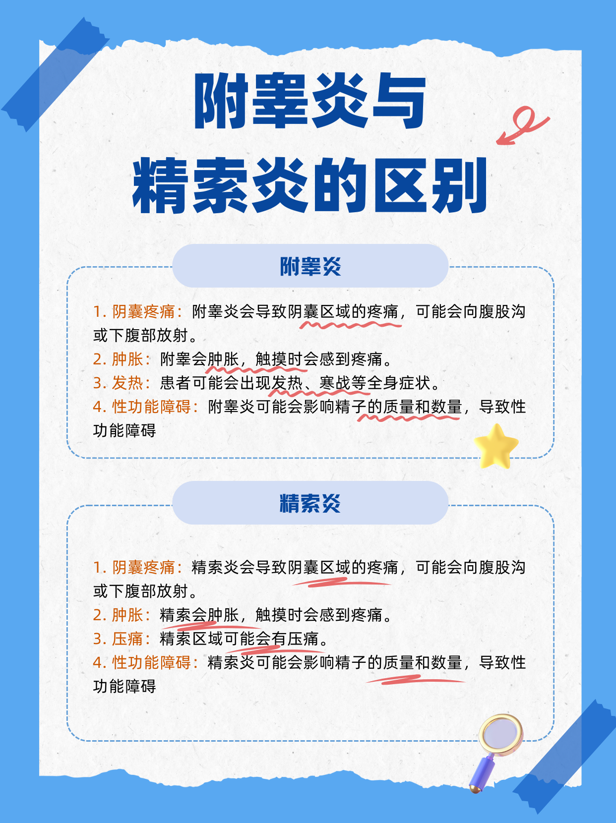 附睾炎与精索炎的区别